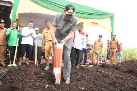 Pemda Kampar Komit Majukan Sektor Pertanian
